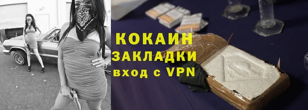 СК Новозыбков