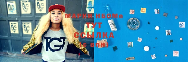 СК Новозыбков