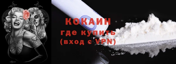 первитин Новодвинск