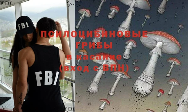 СК Новозыбков