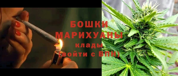 первитин Новодвинск
