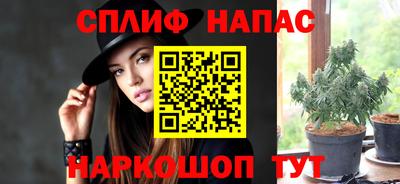 прущие крисы Кингисепп