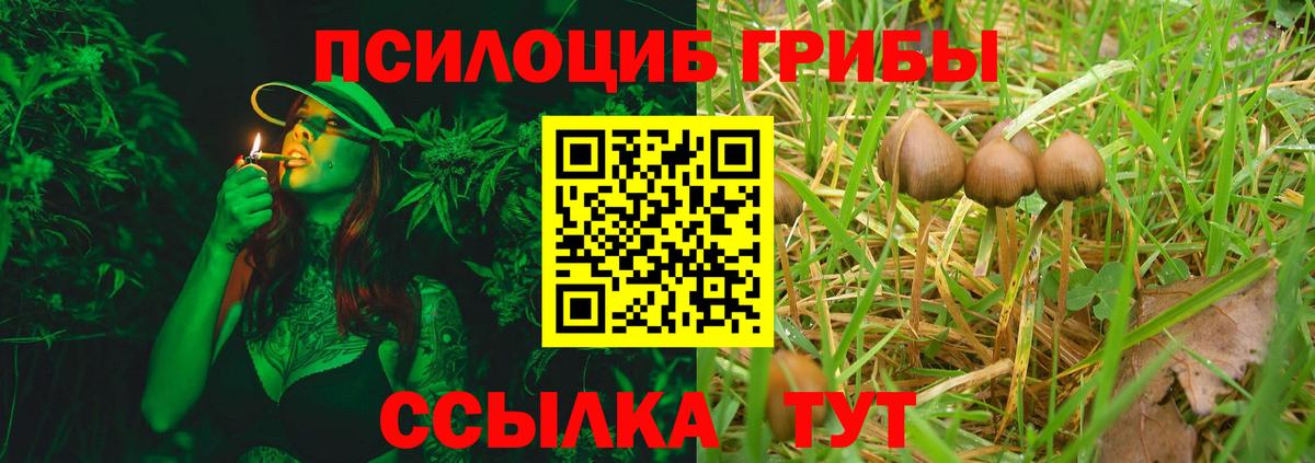 Галлюциногенные грибы GOLDEN TEACHER Чита